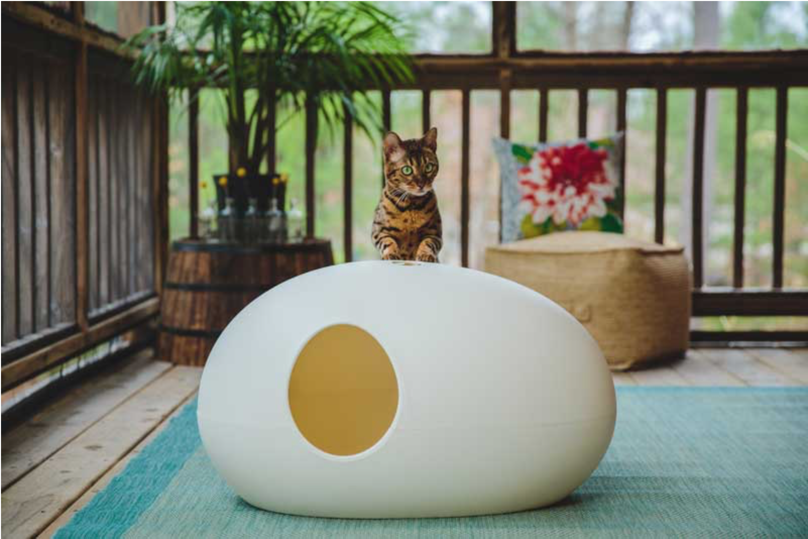 Poopoopeedo | Design-Cat-Toilet | pet.interiors