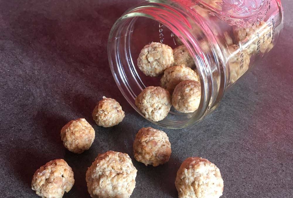 Simply bake healthy dog biscuits with oatmeal yourself