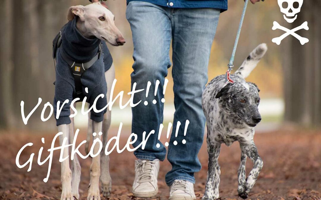 Giftköder – eine tödliche Gefahr für unsere Hunde