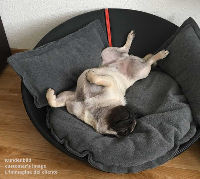 Comfortable dog basket in exclusive design-pet.interiors