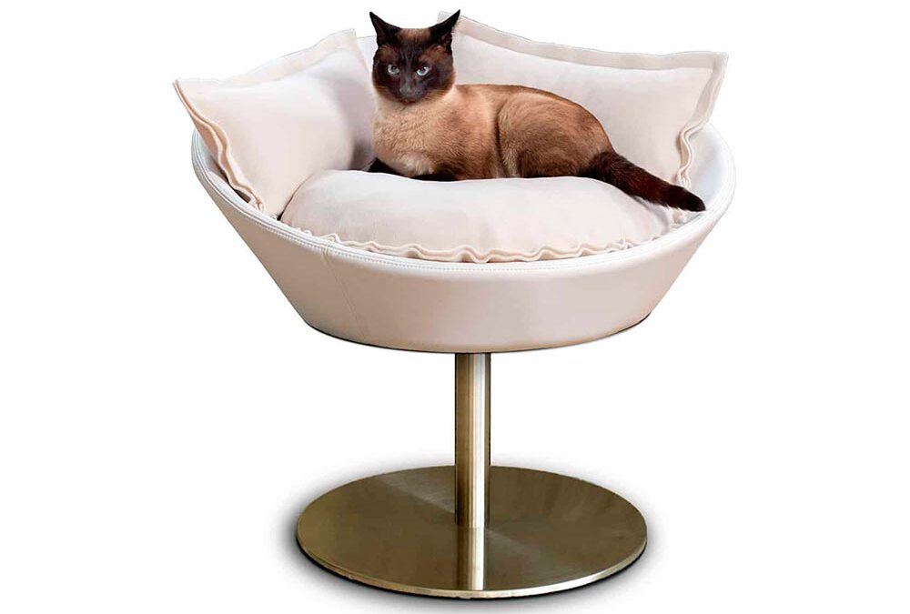Designer cat beds: Stylish oases of peace for your cat and your home