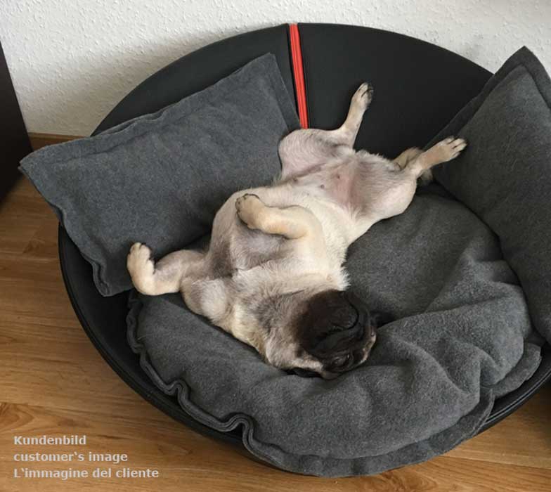 Panier pour chien confortable au design exclusif - pet.interiors