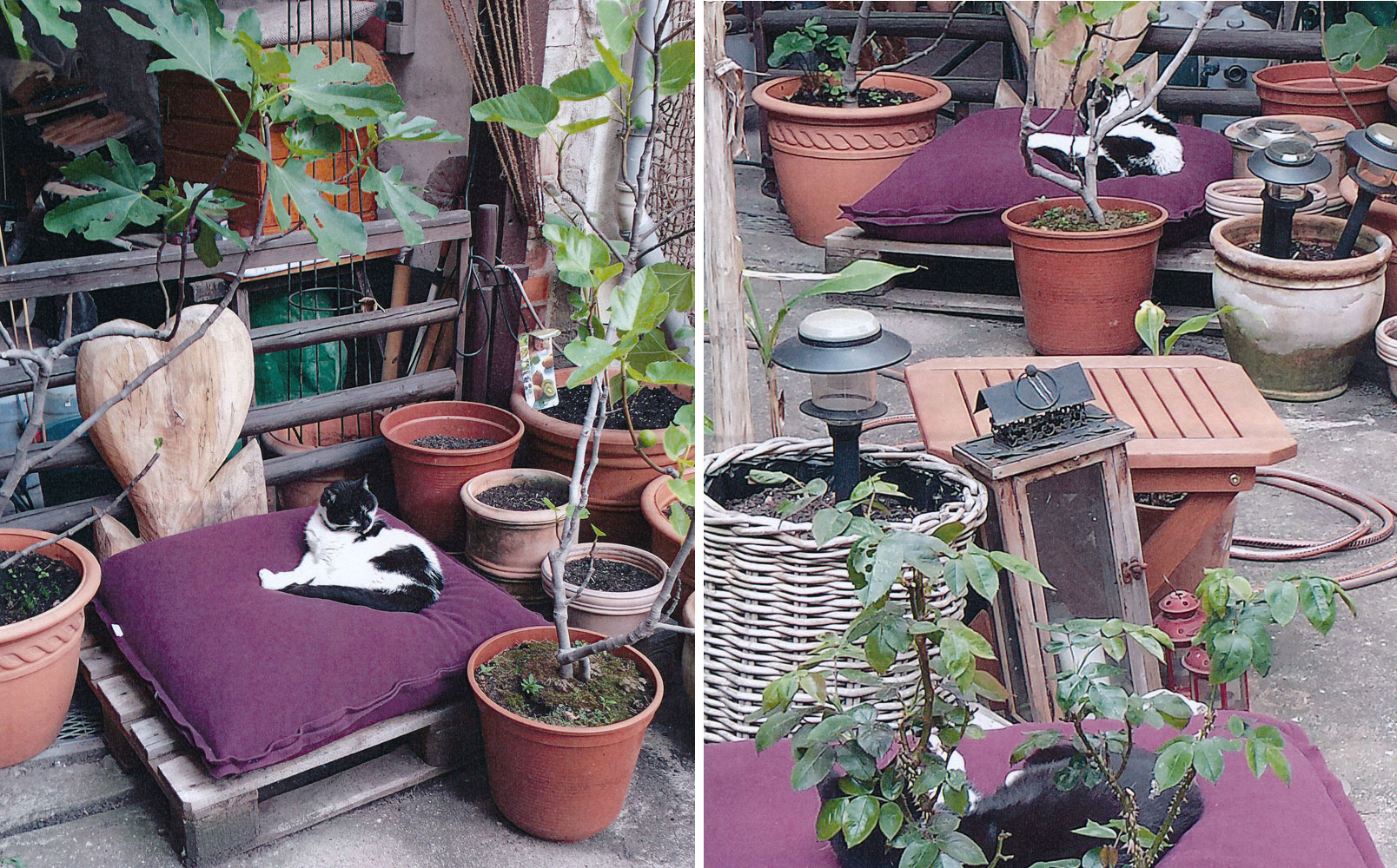 Photo client - Coussin pour chat Divan Uno - pet.interiors