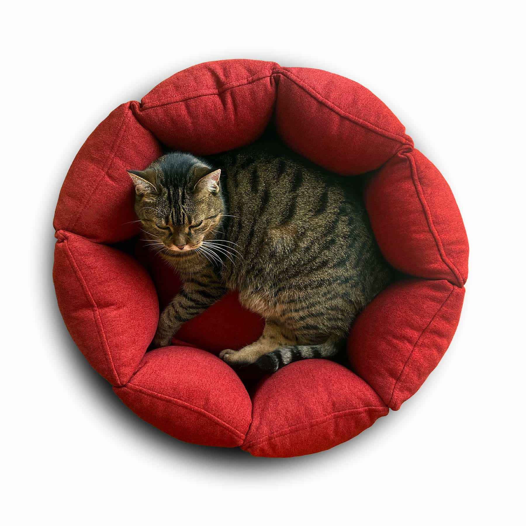 Panier rond pour chat Bloom avec bord haut