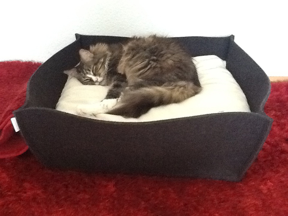 Exklusiver Design-Katzenkorb BOWL aus Filz | pet.interiors