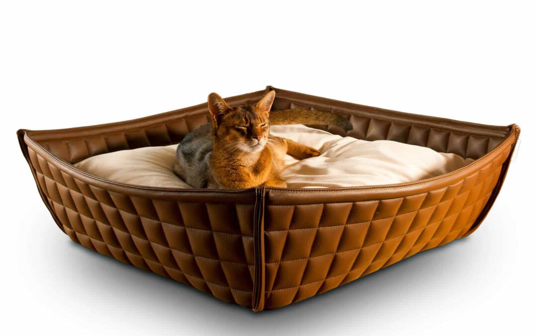 Qual è una buona cesta per gatti?