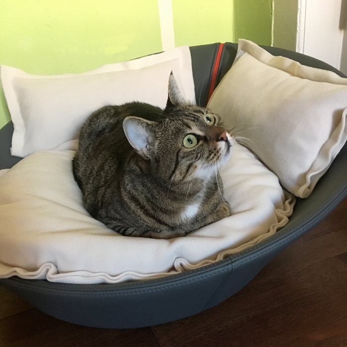 Exklusiver Design-Katzenkorb MILA in Kunstleder | pet.interiors