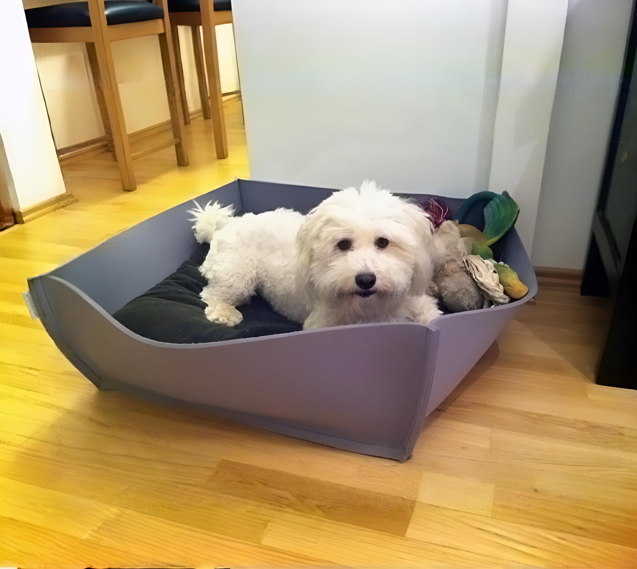 Emmi-dog-bed-basket-felt-orthopedic Emmi im neuen Bowl Filz Körbchen
