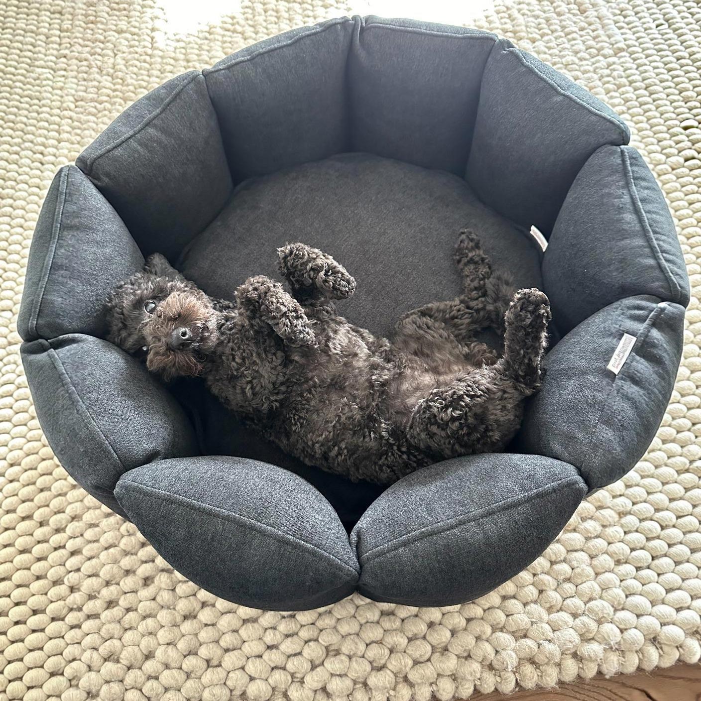 Bloom Hundebett von pet-interiors