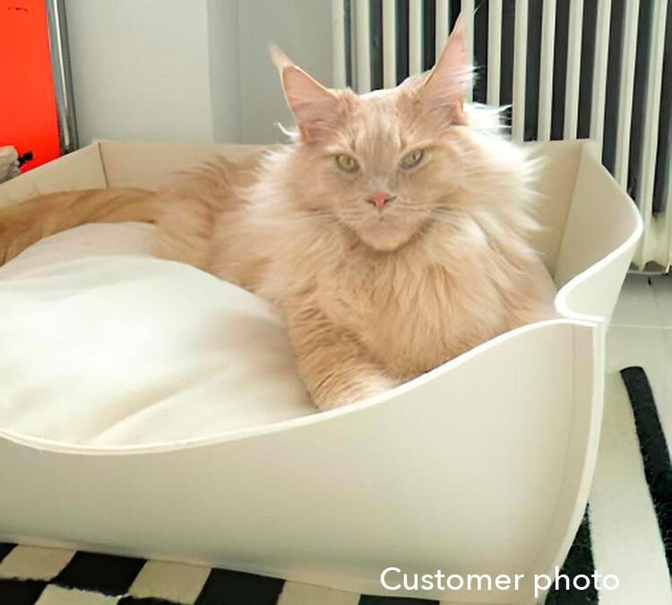 Katzenbett für große Katzen