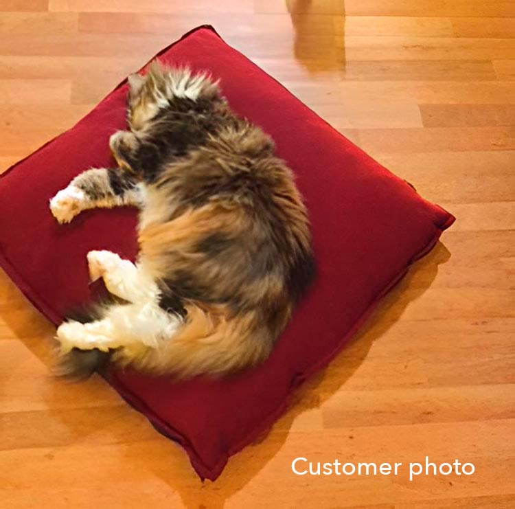 Katzenbett DIVAN Uno in rot, 60 x 60 cm