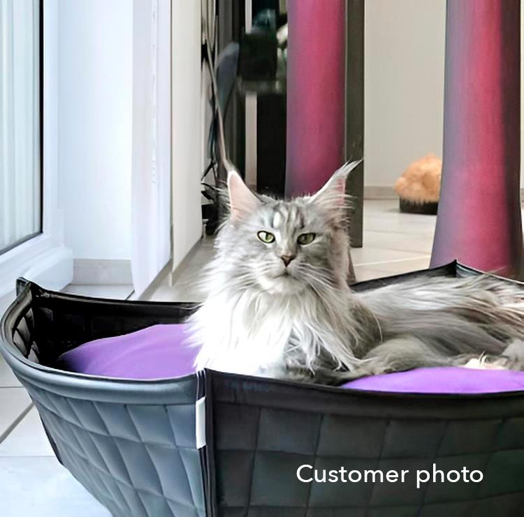 Mr. Miou aus Unna Bowl Leder schwarz, Kissenfarbe violett, 75 x 75 cm