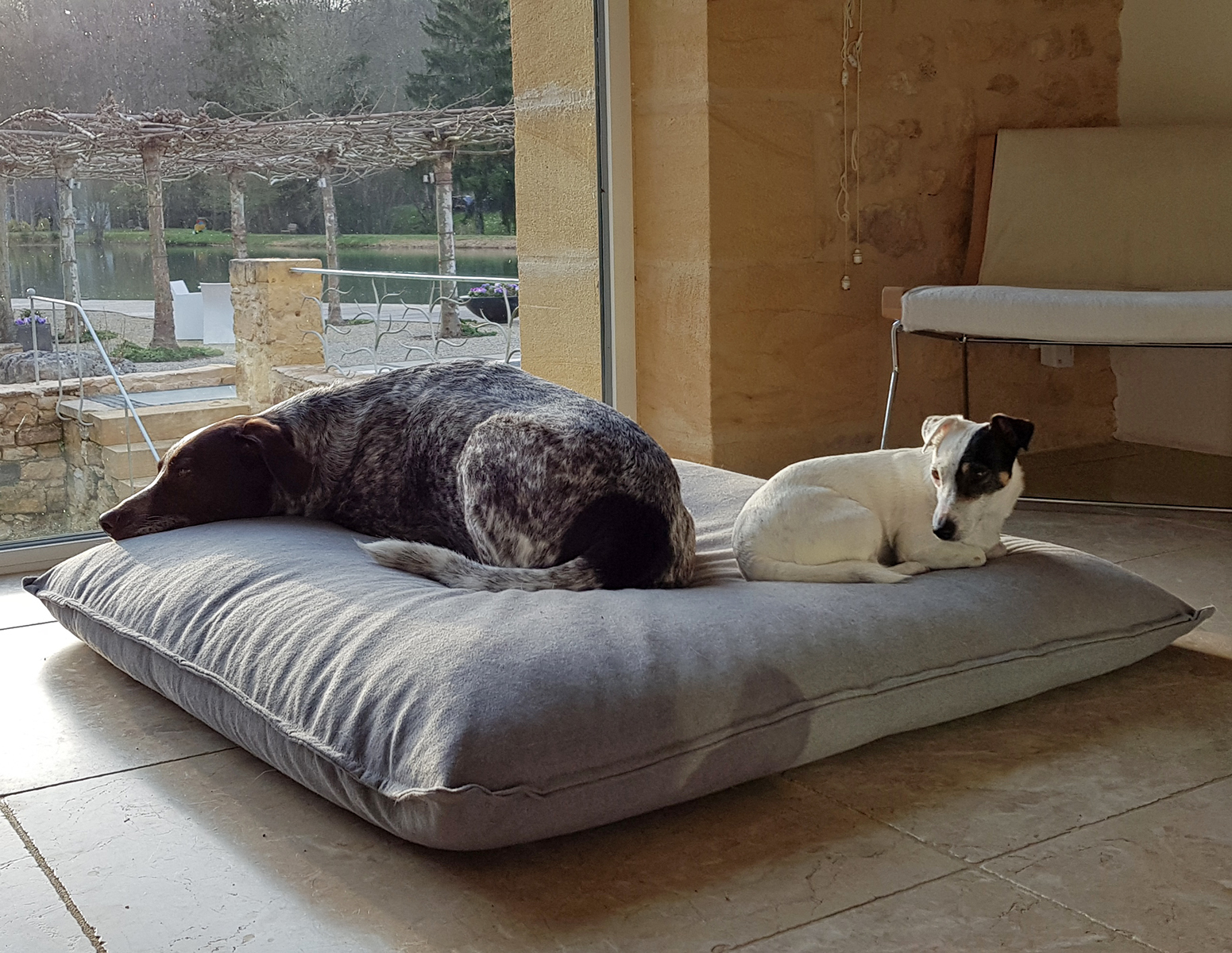 Charlie und India schlummern auf ihrem neuen Divan Uno Hundekissen von pet-interiors