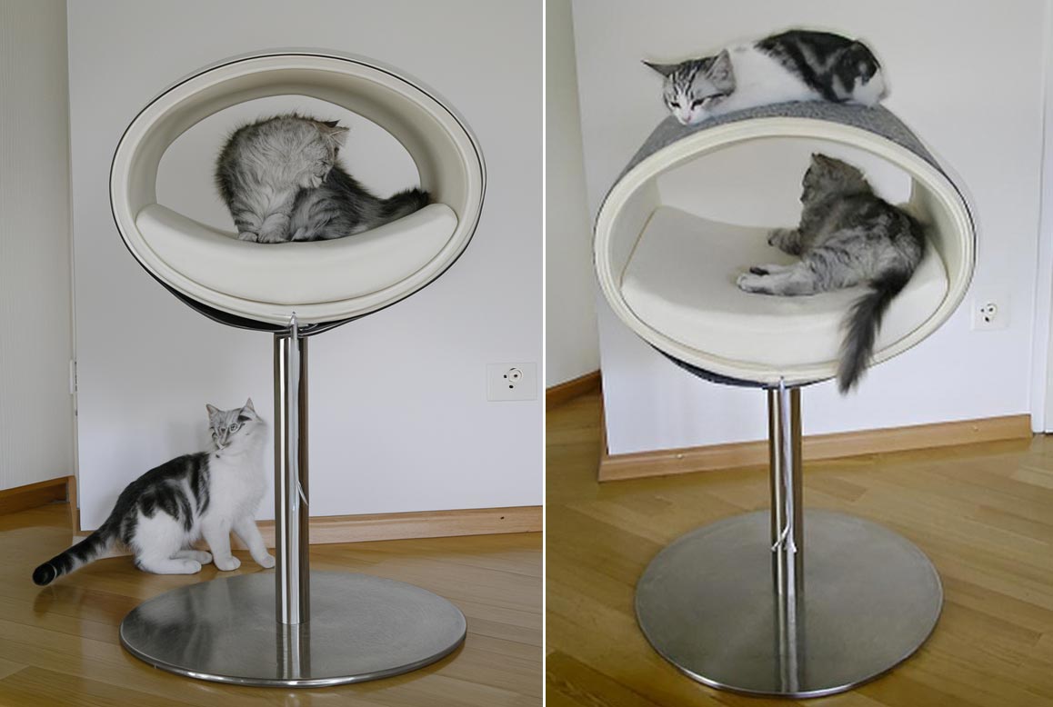 Heidi und Olga turnen, klettern uns spielen im Rondo Katzenbett