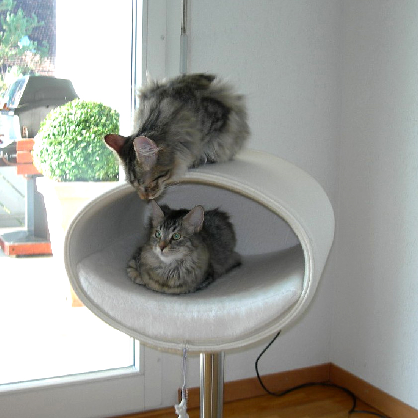 Igor und Ina im Rondo Igor und Ina im Rondo Stand Filz von pet-interiors