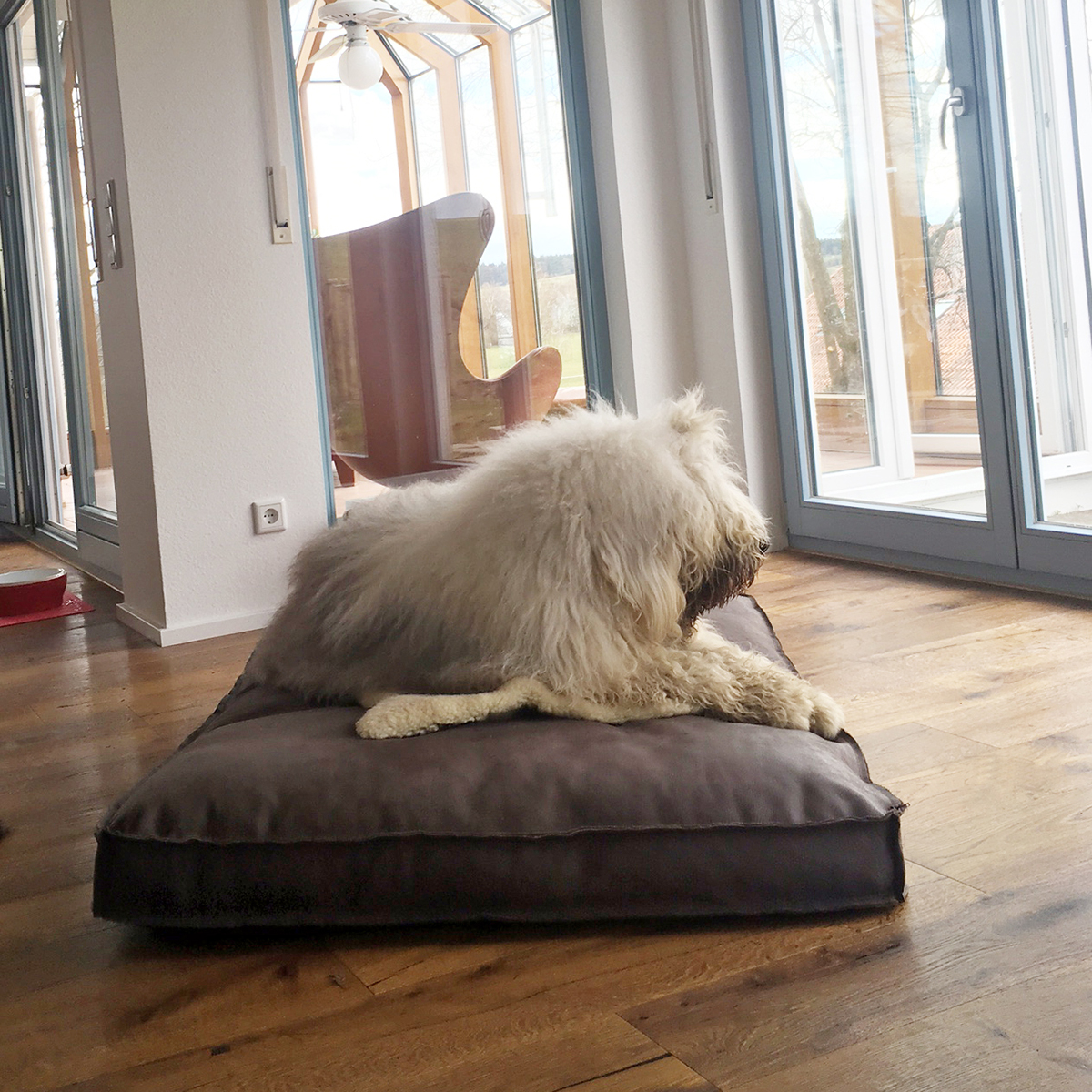 Bobtail Charlie auf dem Lounge Buffalo Leder-Hundekissen von pet-interiors